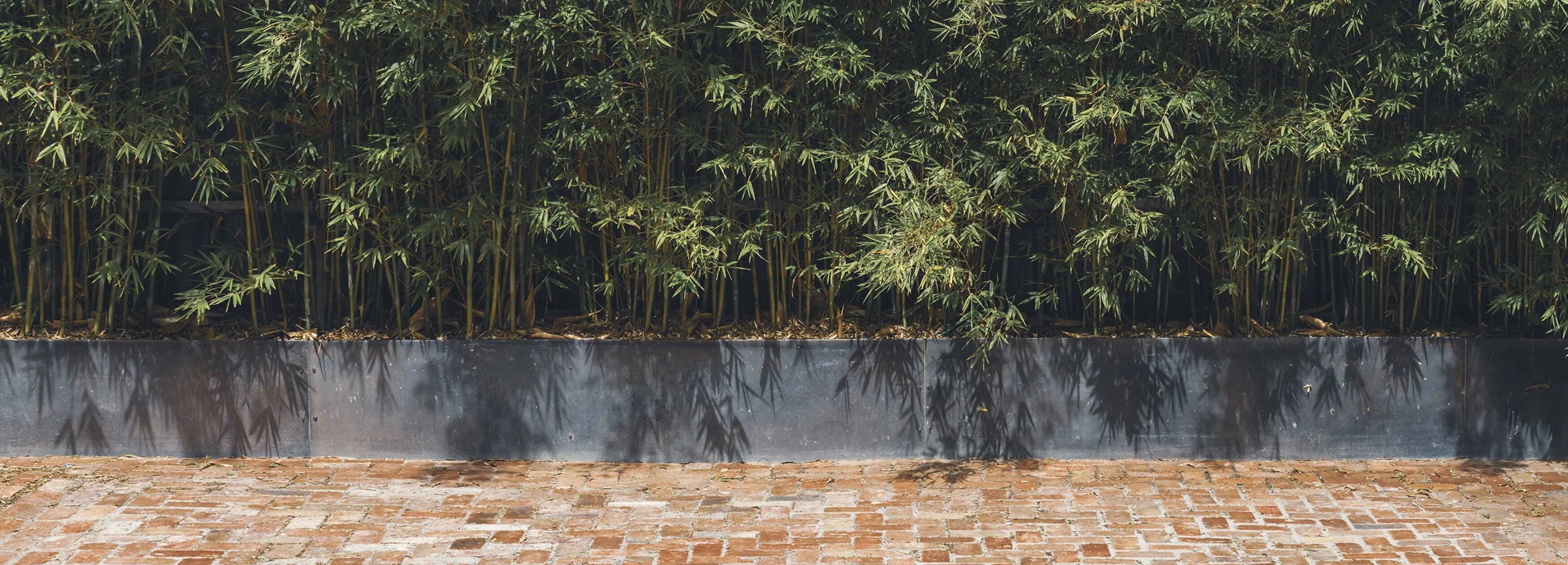 in the brick spa hotel japanese garden bamboo garden relaxing meditation